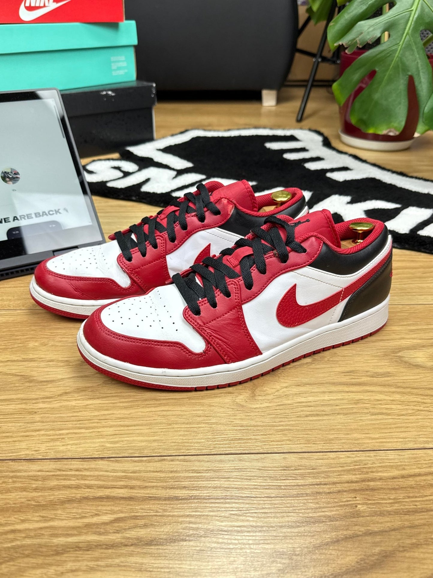 Nike Air Jordan 1 Low (46)