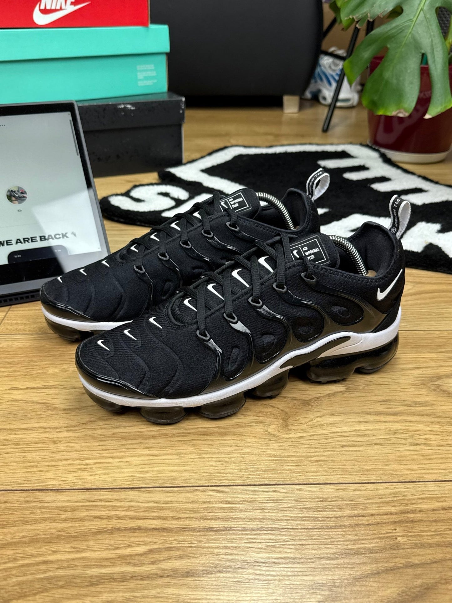 Nike Air Vapormax Plus (43)