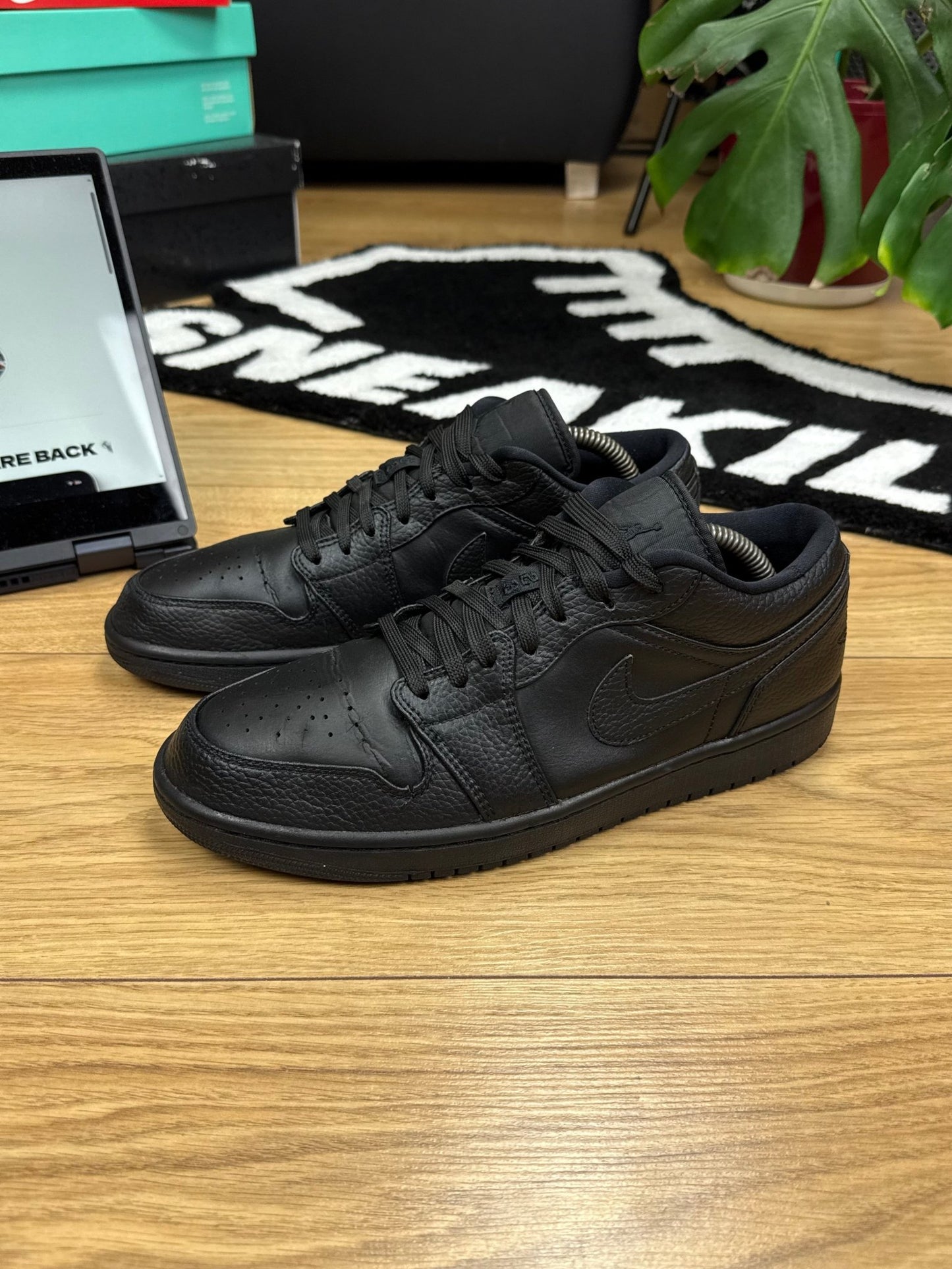 Nike Air Jordan 1 Low (43)