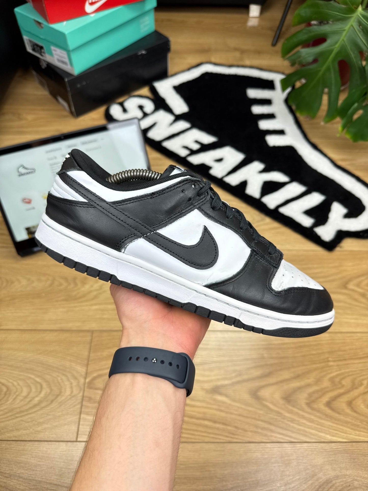 Nike Dunk Low (44.5)