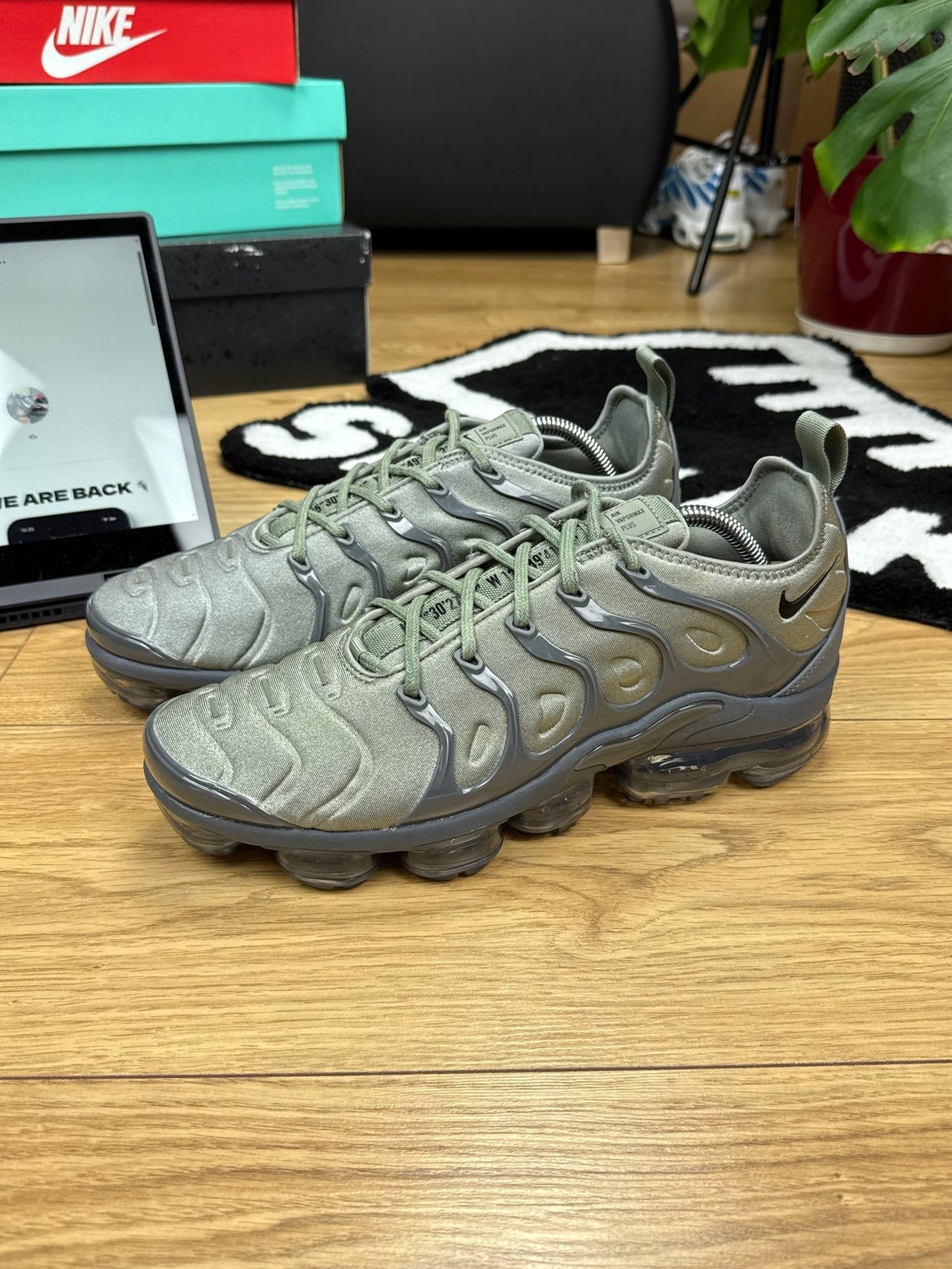 Nike Air Vapormax Plus (44)