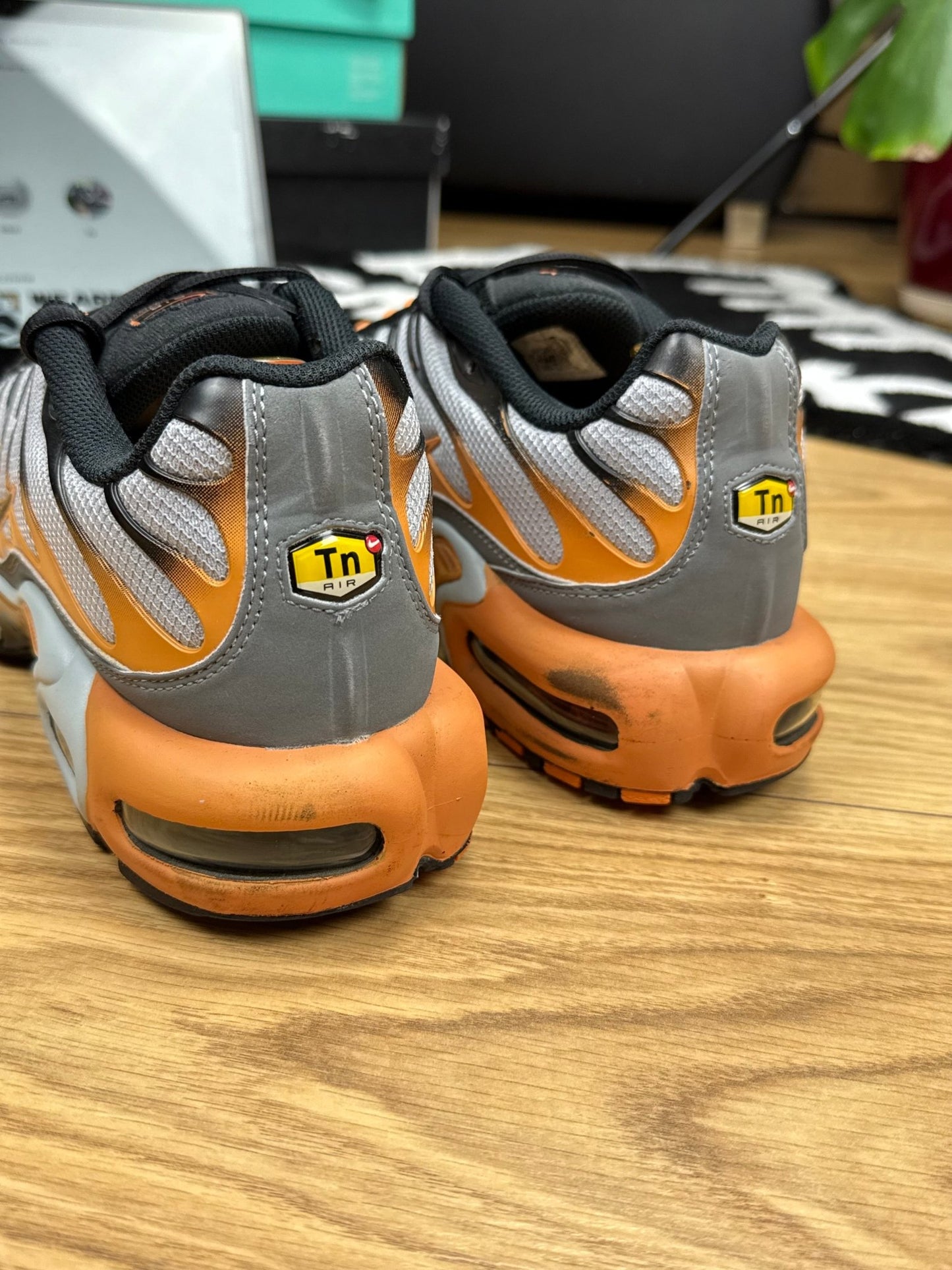 Nike Air Max Plus TN (44)