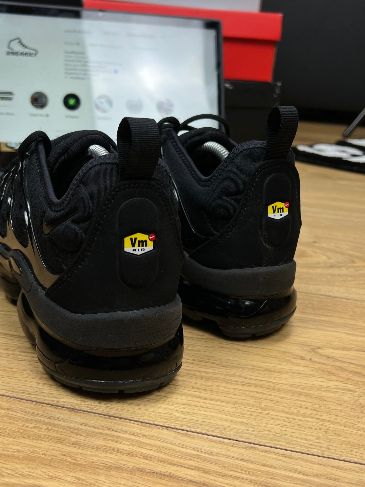 Nike Air Vapormax Plus (44)