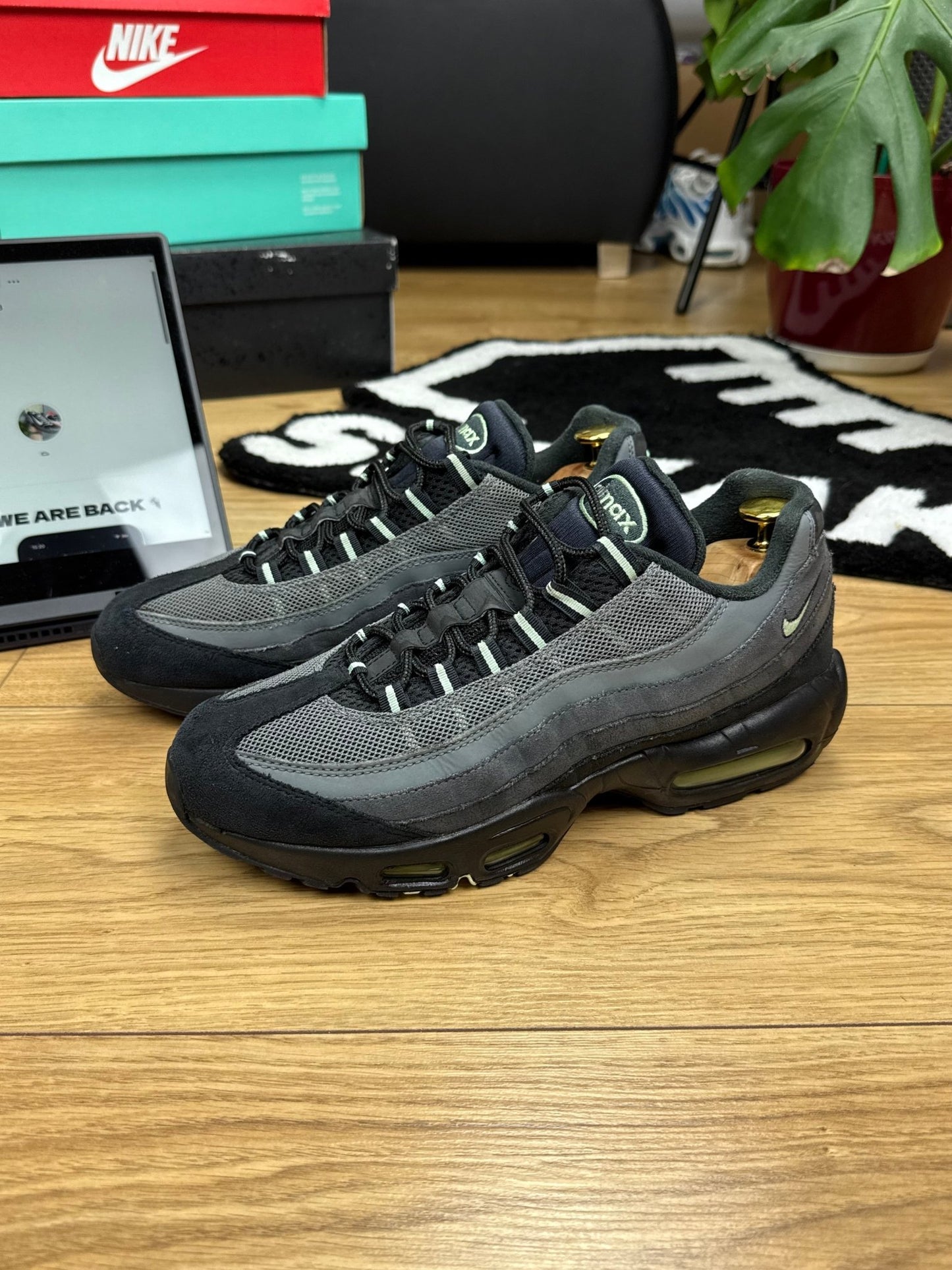 Nike Air Max 95 (42.5)