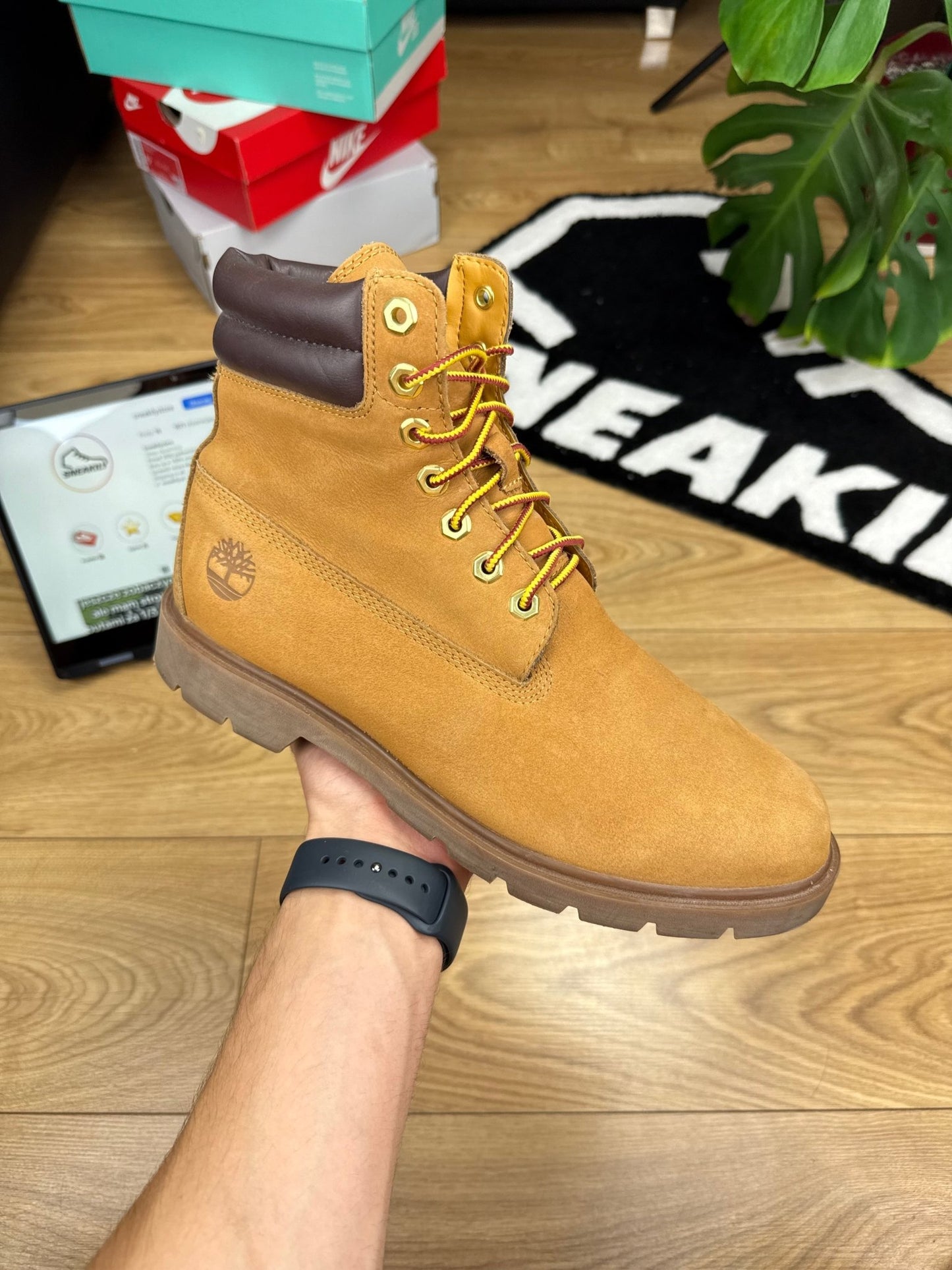 Timberland Premium 6 (43.5)