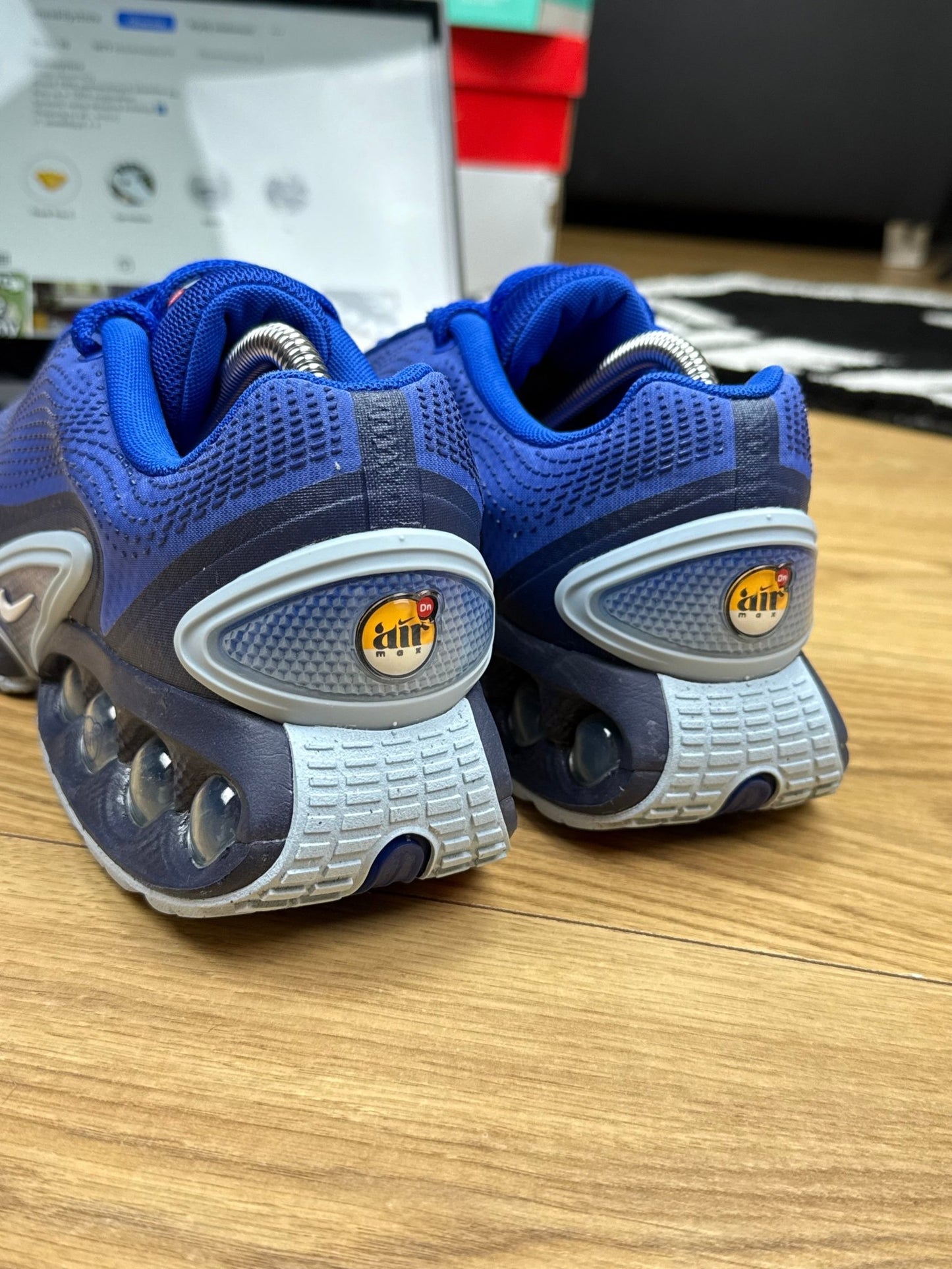 Nike Air Max DN (43)