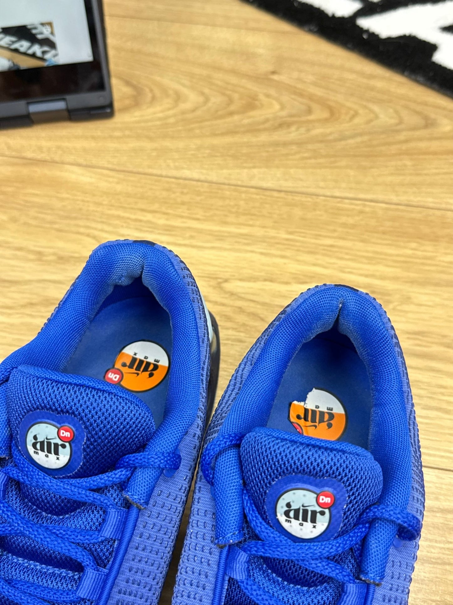 Nike Air Max DN (43)