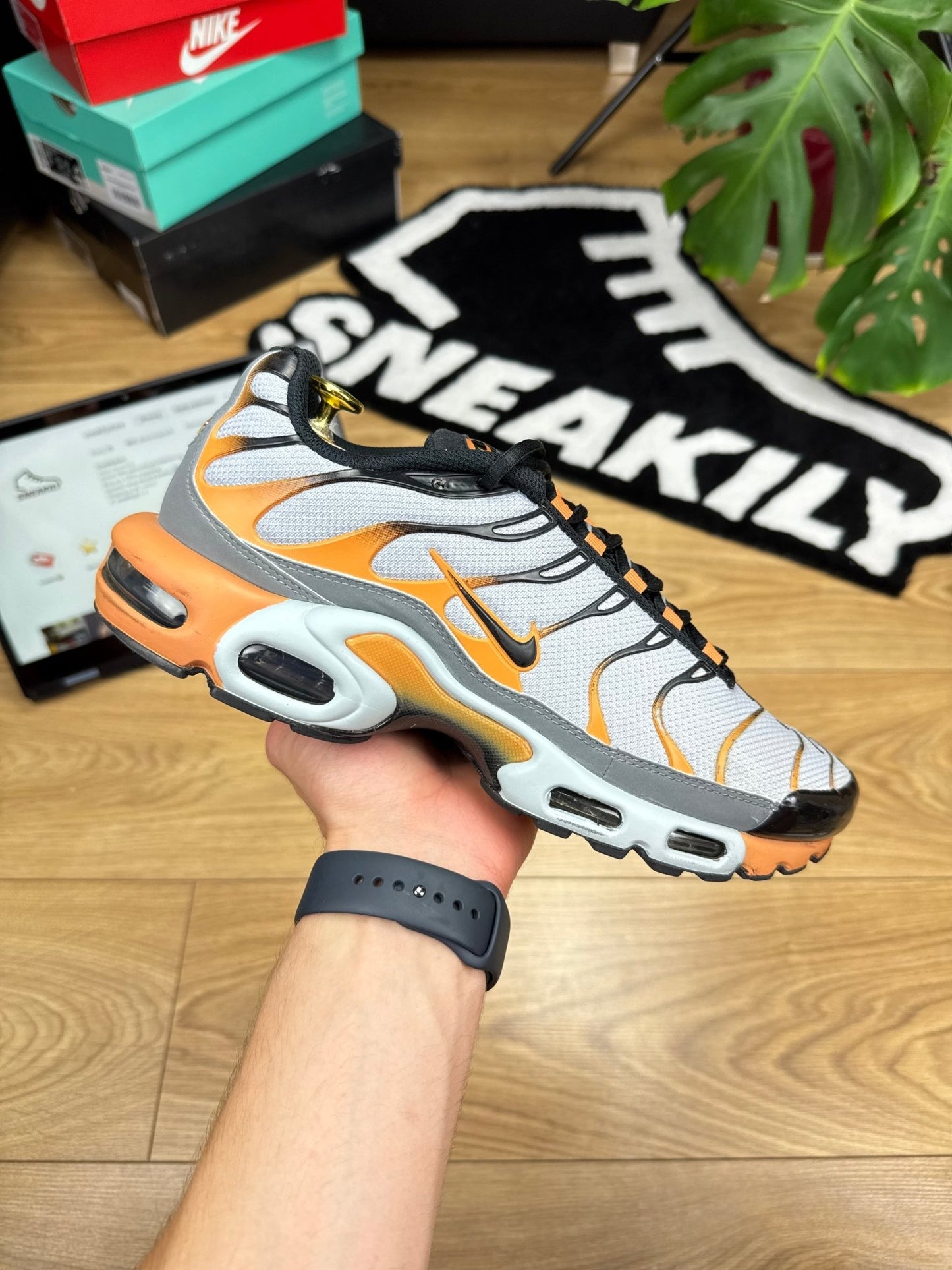 Nike Air Max Plus TN (44)