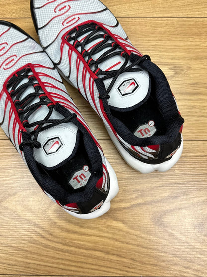Nike Air Max Plus TN (44.5)