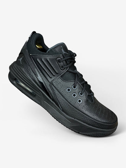 Nike Air Jordan Max Aura 5 (43)