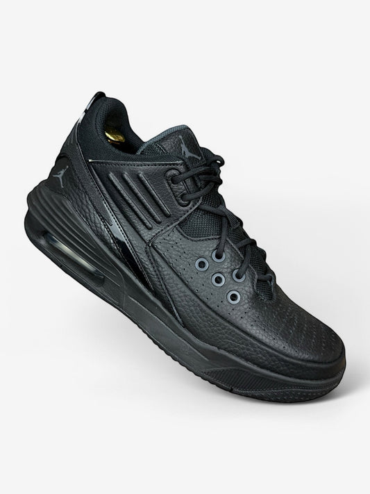 Nike Air Jordan Max Aura 5 (43)
