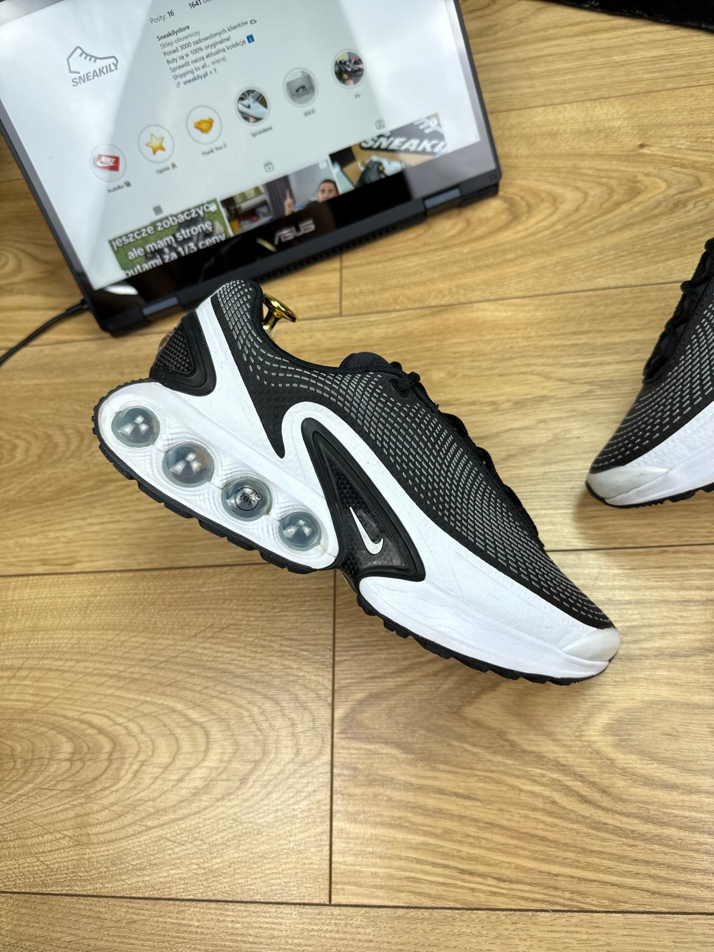 Nike Air Max DN (41)