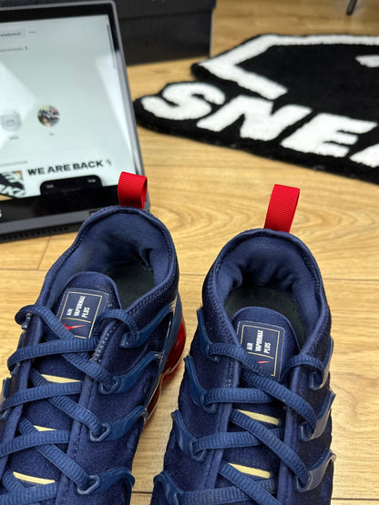 Nike Air Vapormax Plus (44)
