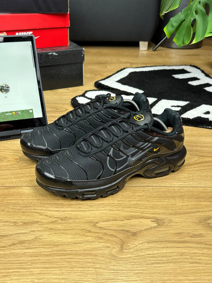 Nike Air Max Plus TN (44.5)
