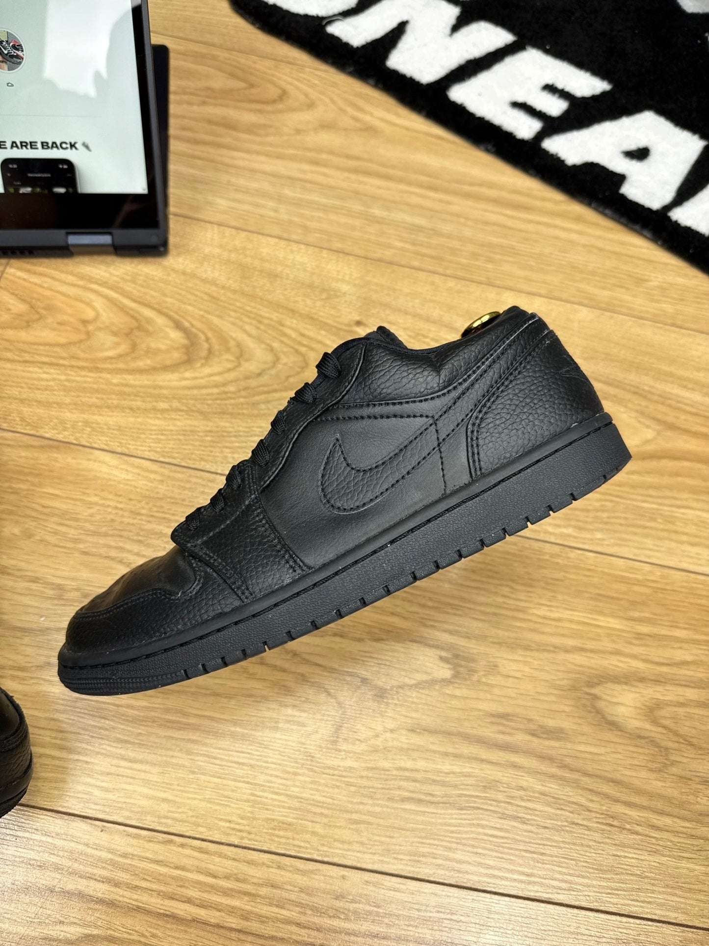 Nike Air Jordan 1 Low (42)