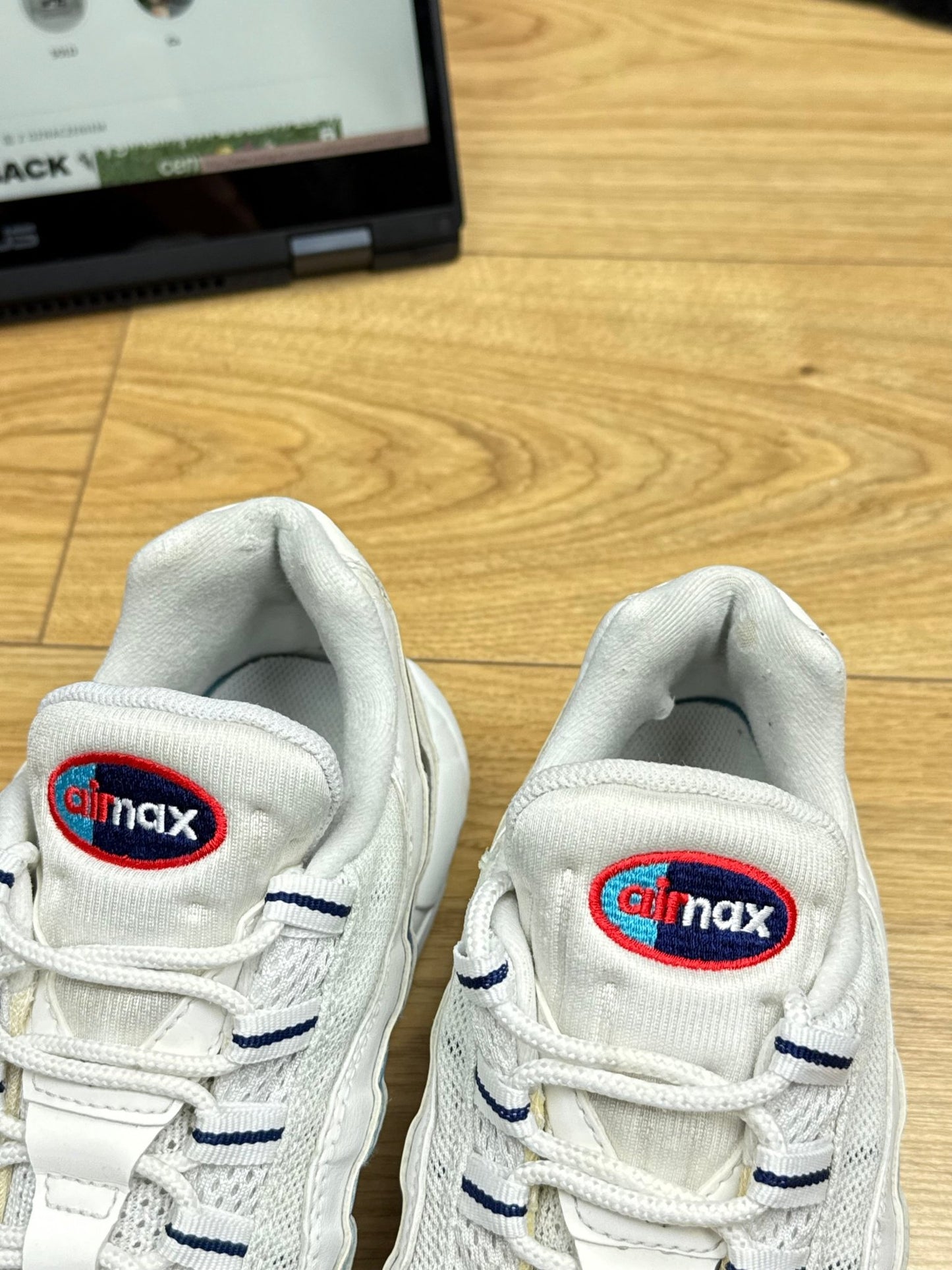 Nike Air Max 95 (44)