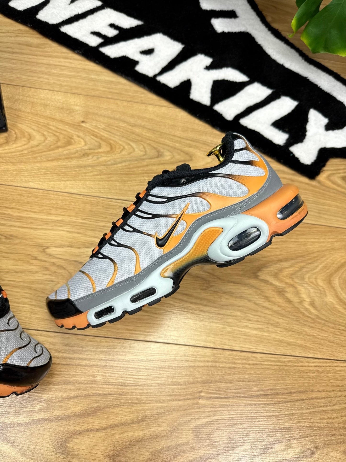 Nike Air Max Plus TN (44)