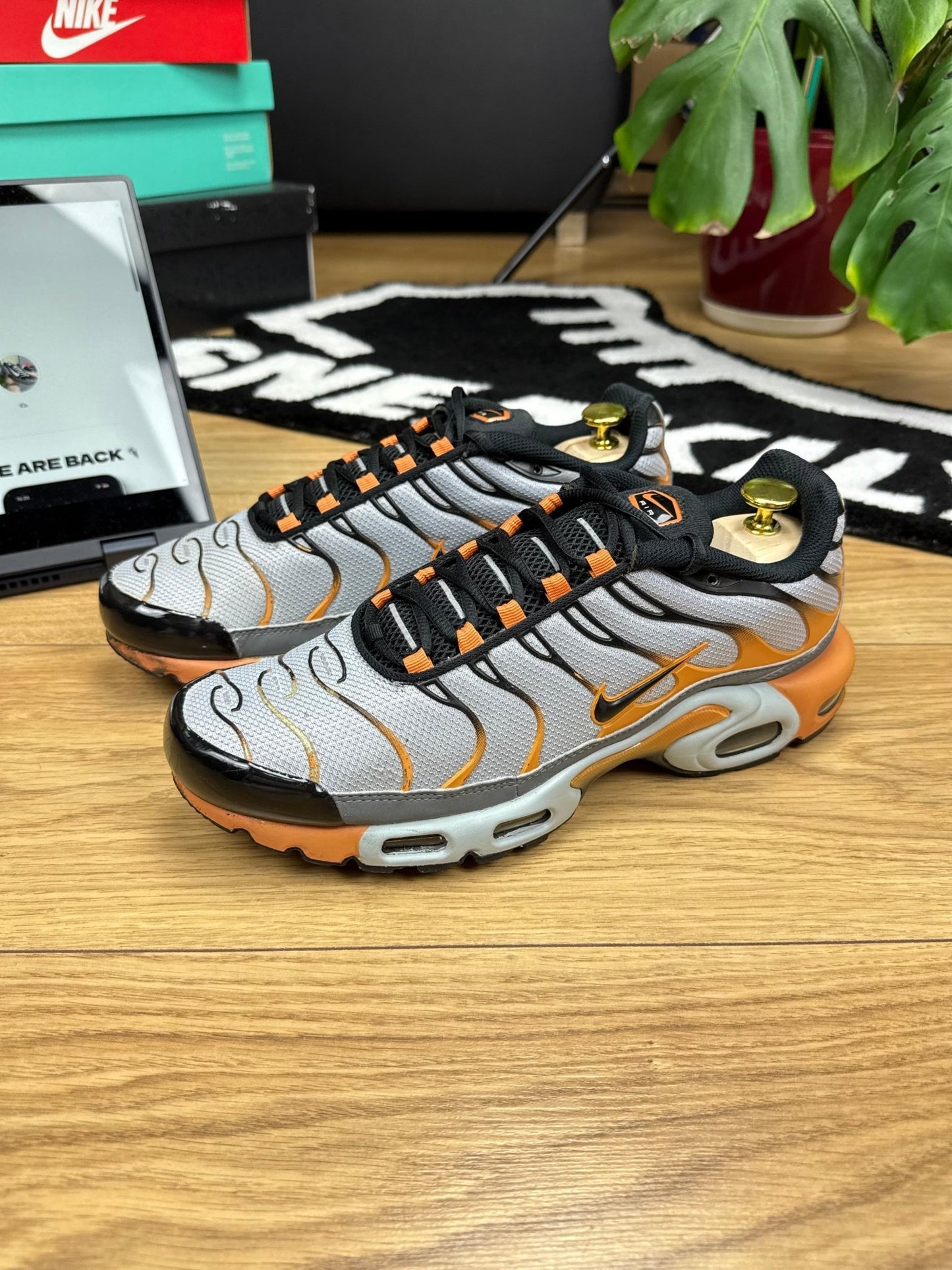 Nike Air Max Plus TN (44)