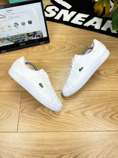 Lacoste Powercourt 1121 1 (42.5)