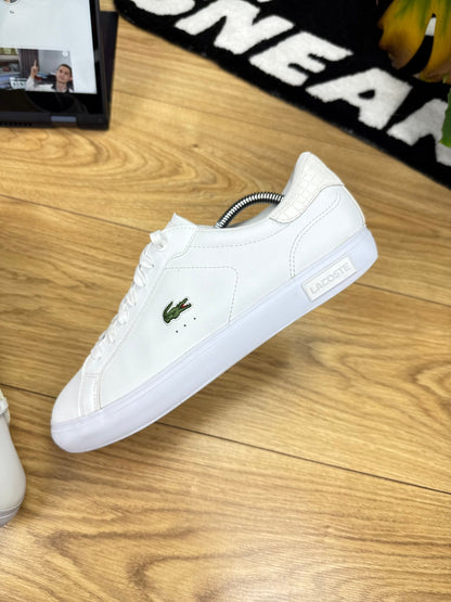 Lacoste Powercourt 1121 1 (42.5)