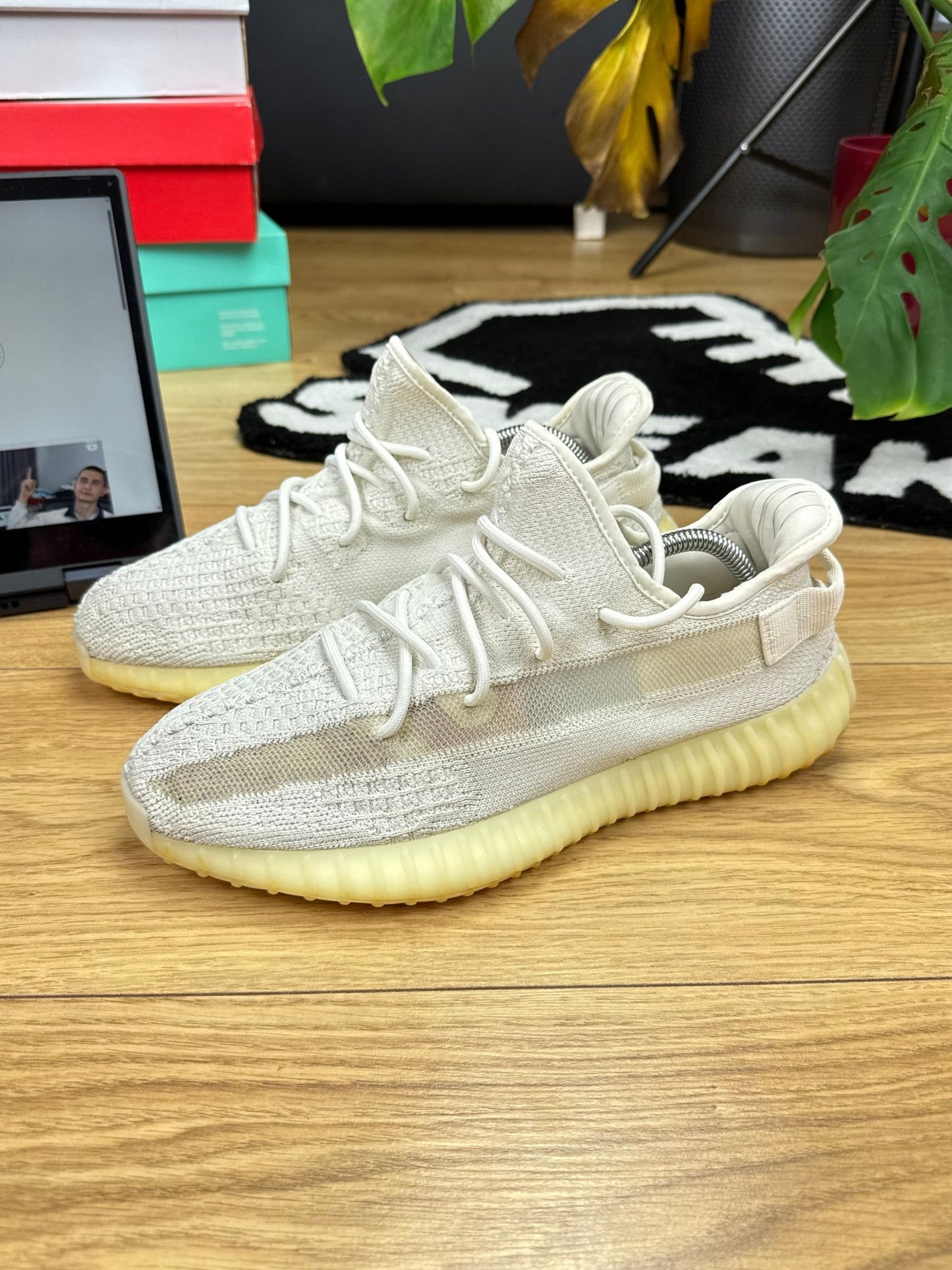 Adidas Yeezy 350 (44)