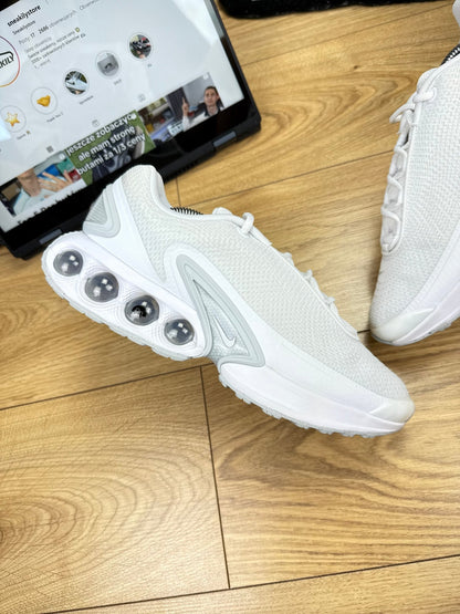 Nike Air Max DN (44)
