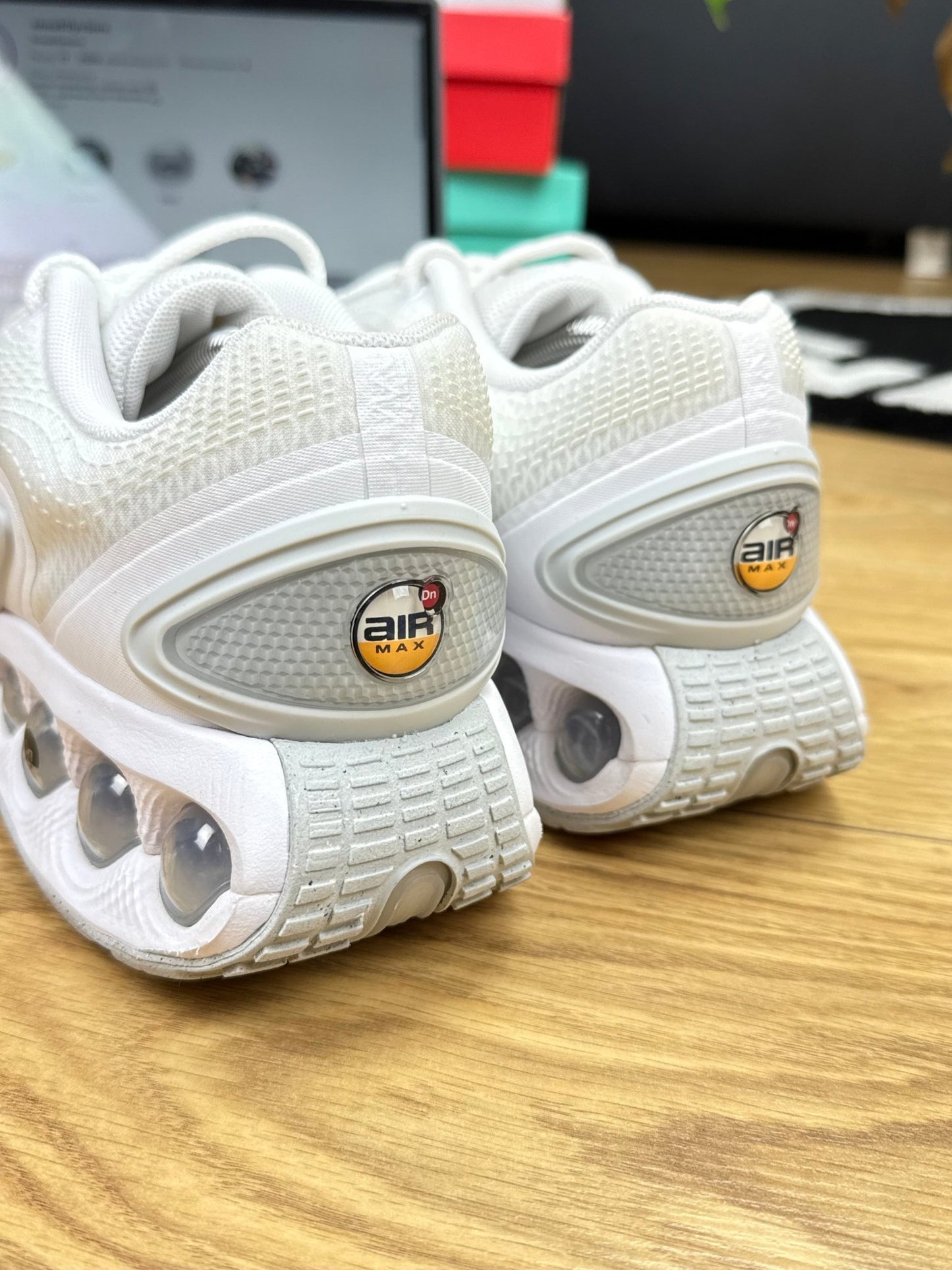 Nike Air Max DN (44)
