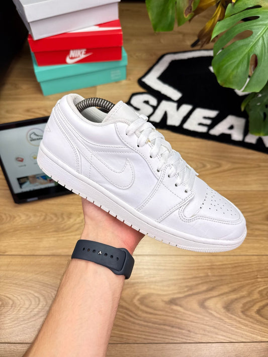 Nike Air Jordan 1 Low (42)
