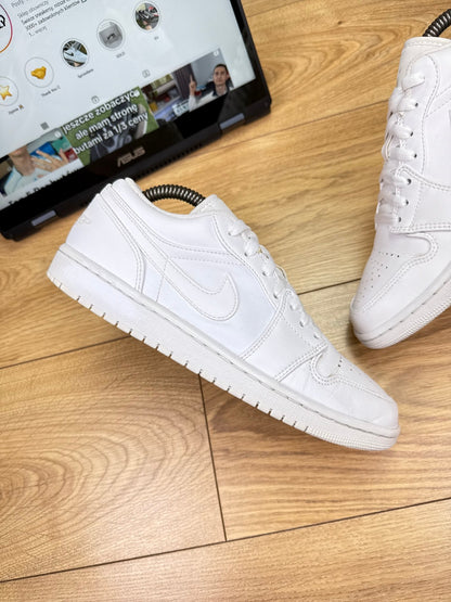 Nike Air Jordan 1 Low (42)