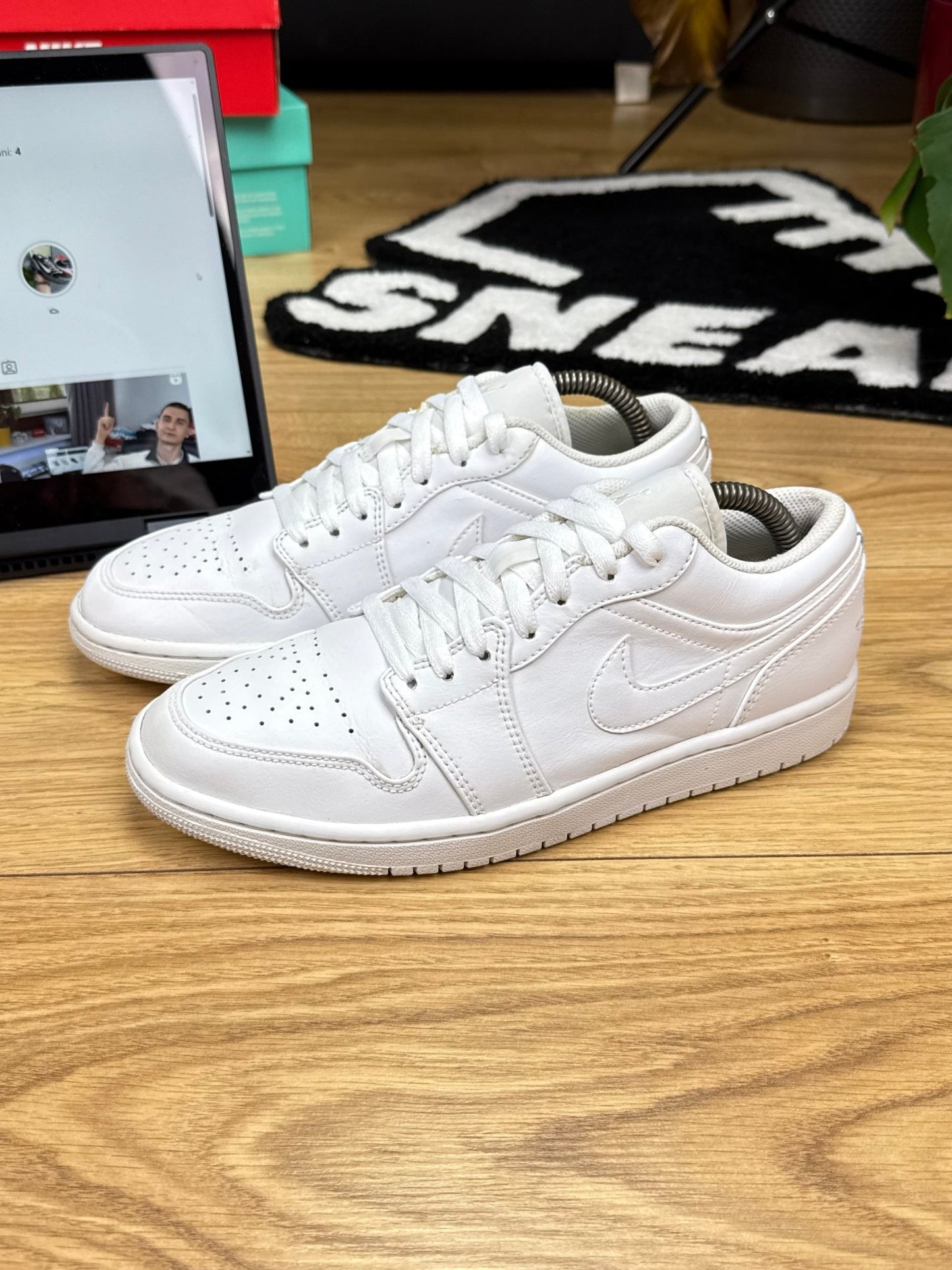Nike Air Jordan 1 Low (42)