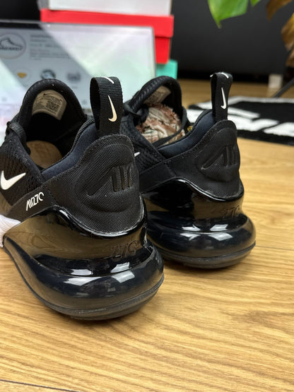 Nike Air Max 270 (43)
