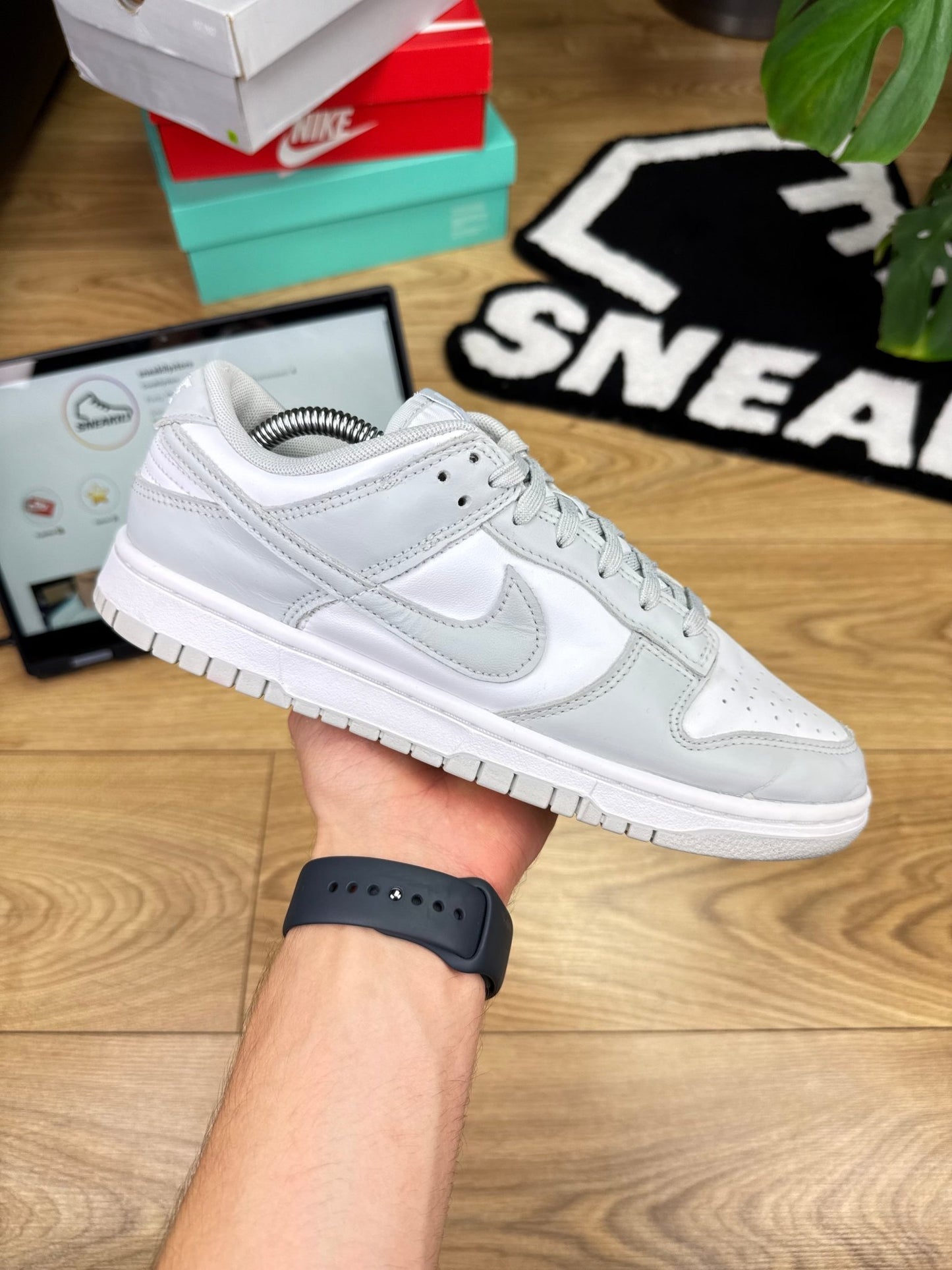 Nike Dunk Low (42)
