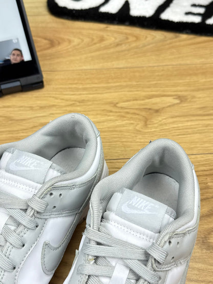Nike Dunk Low (42)
