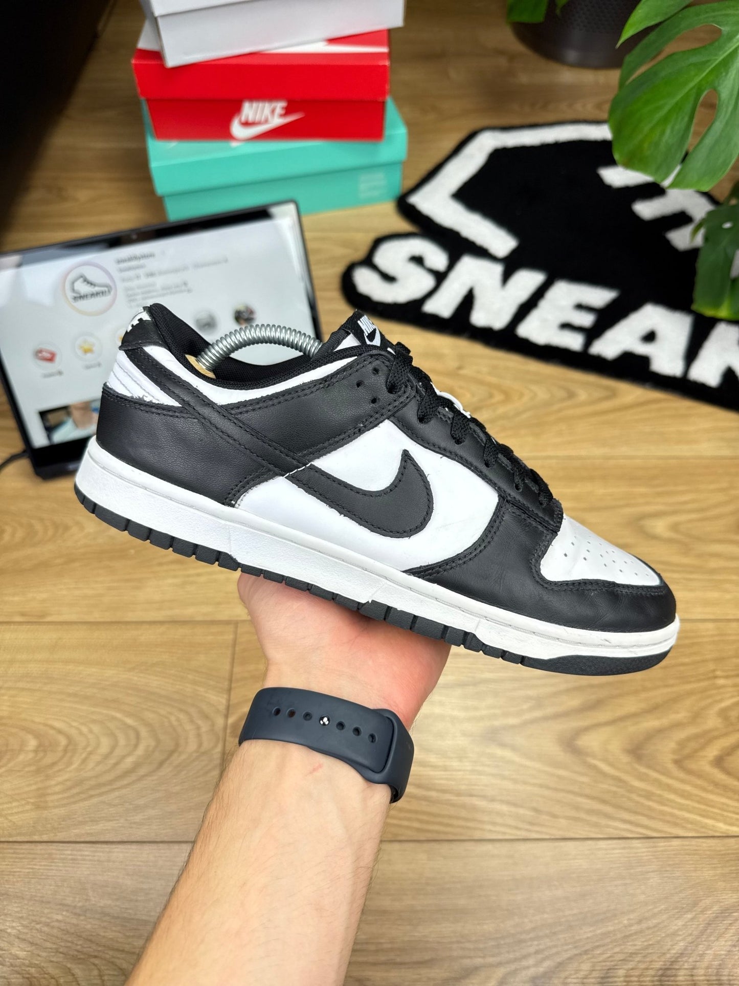 Nike Dunk Low (43)