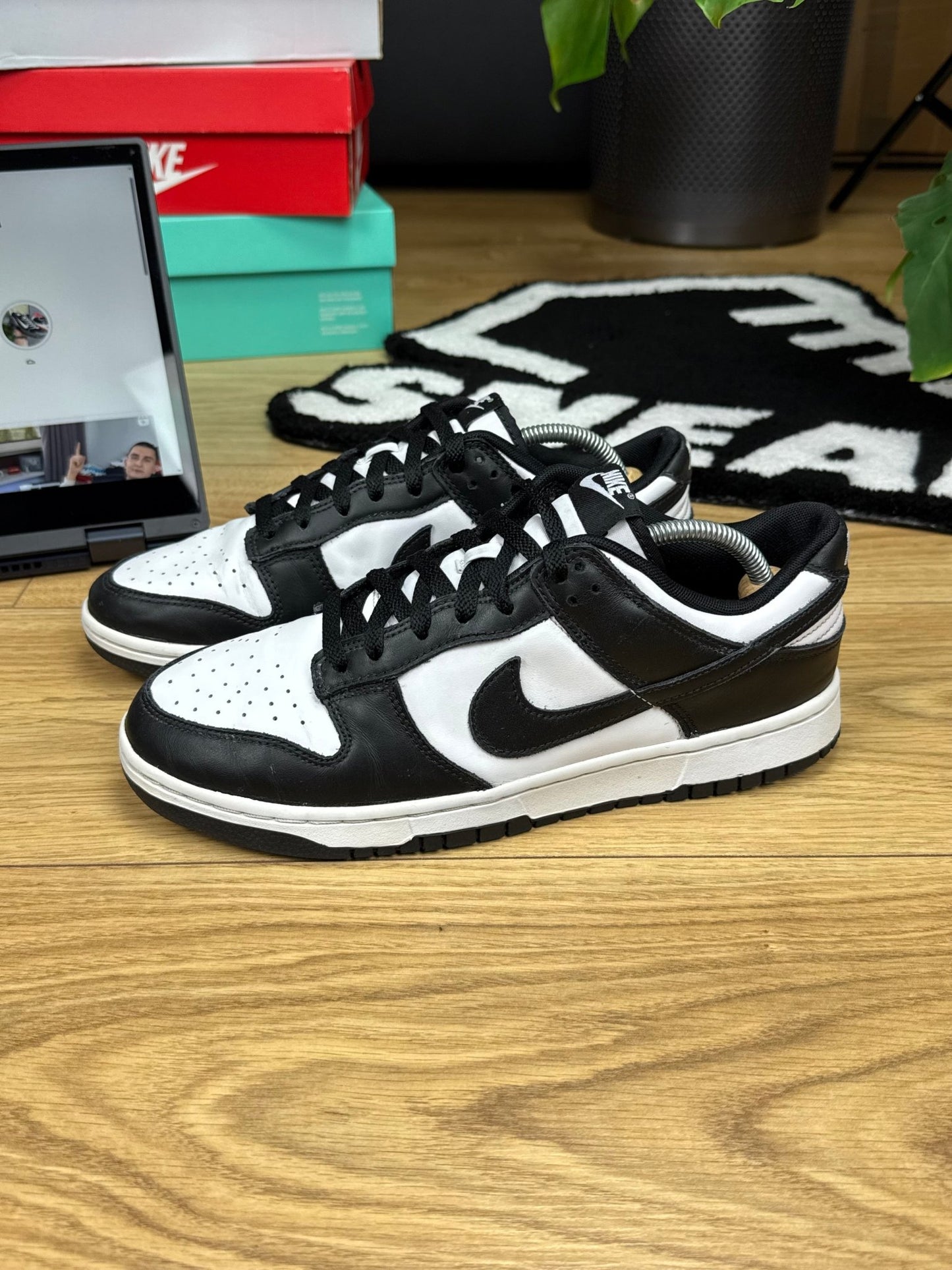 Nike Dunk Low (43)