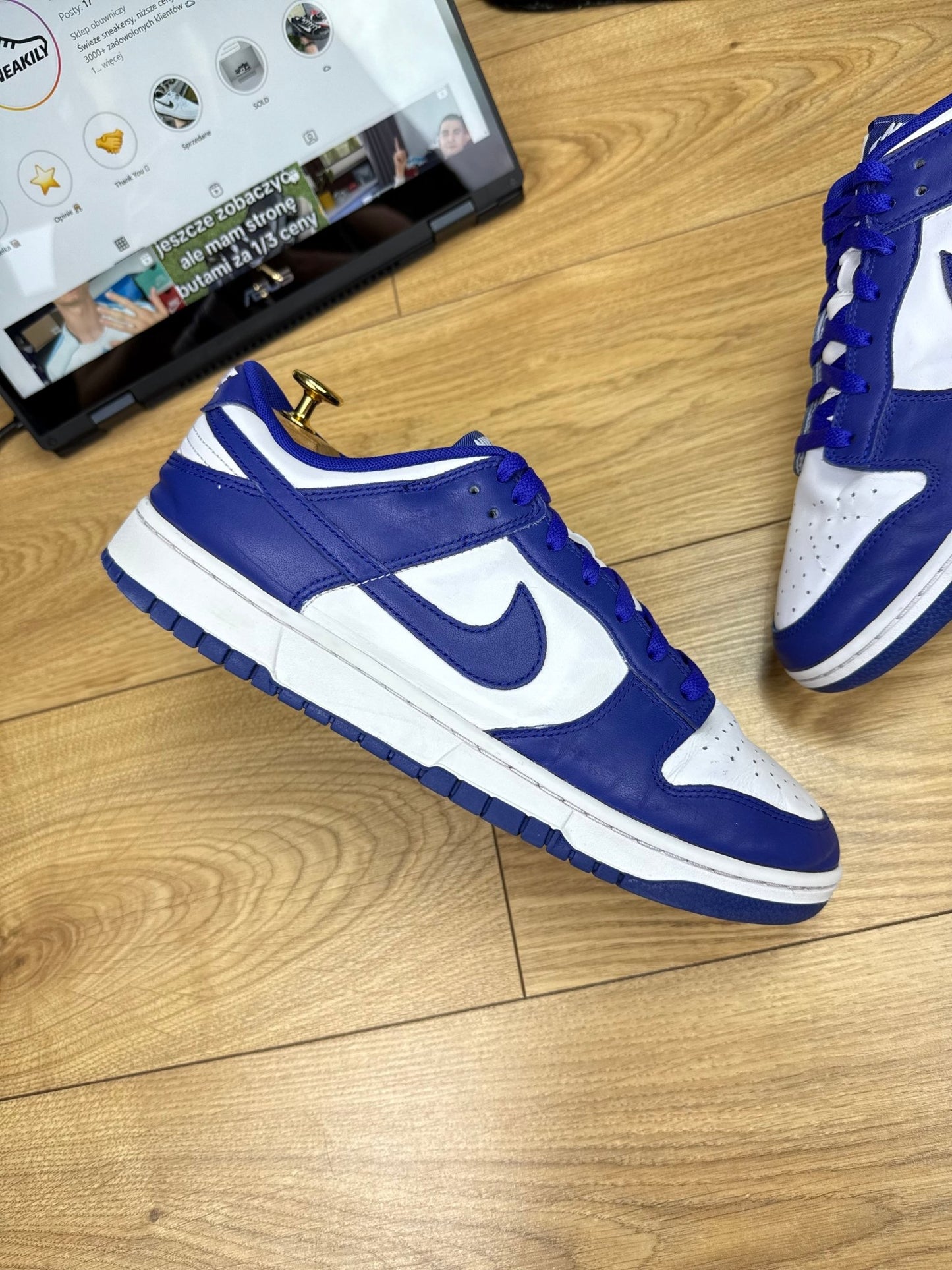 Nike Dunk Low (46)