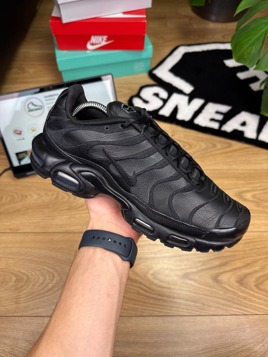 Nike Air Max Plus (44)