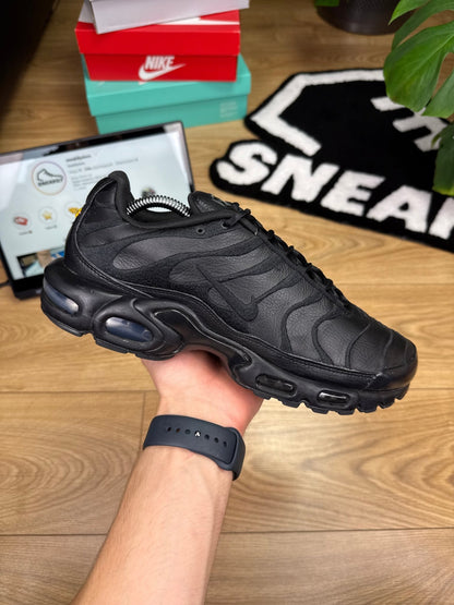 Nike Air Max Plus (44)