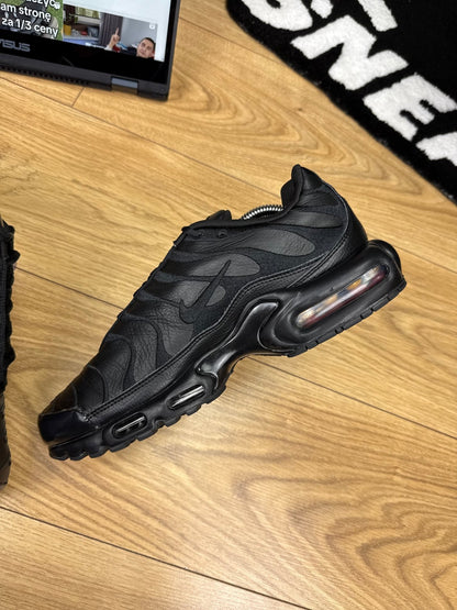 Nike Air Max Plus (44)