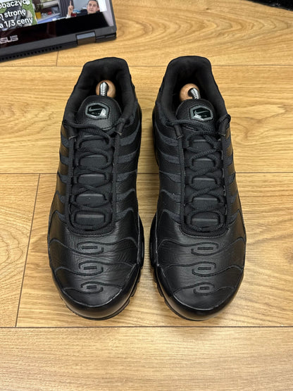 Nike Air Max Plus (44)