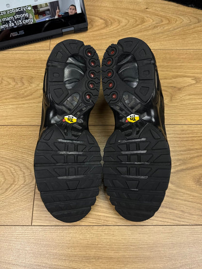 Nike Air Max Plus (44)