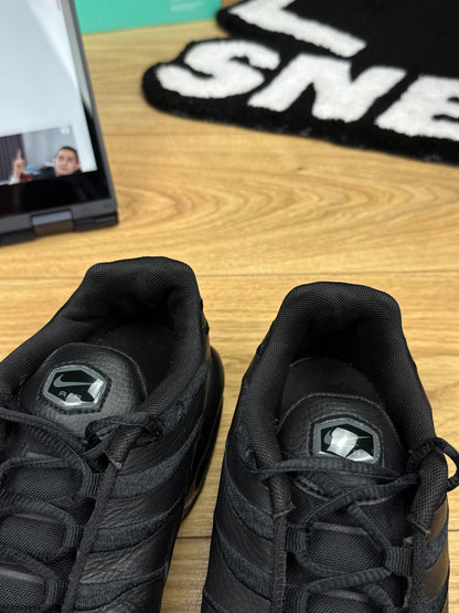 Nike Air Max Plus (44)