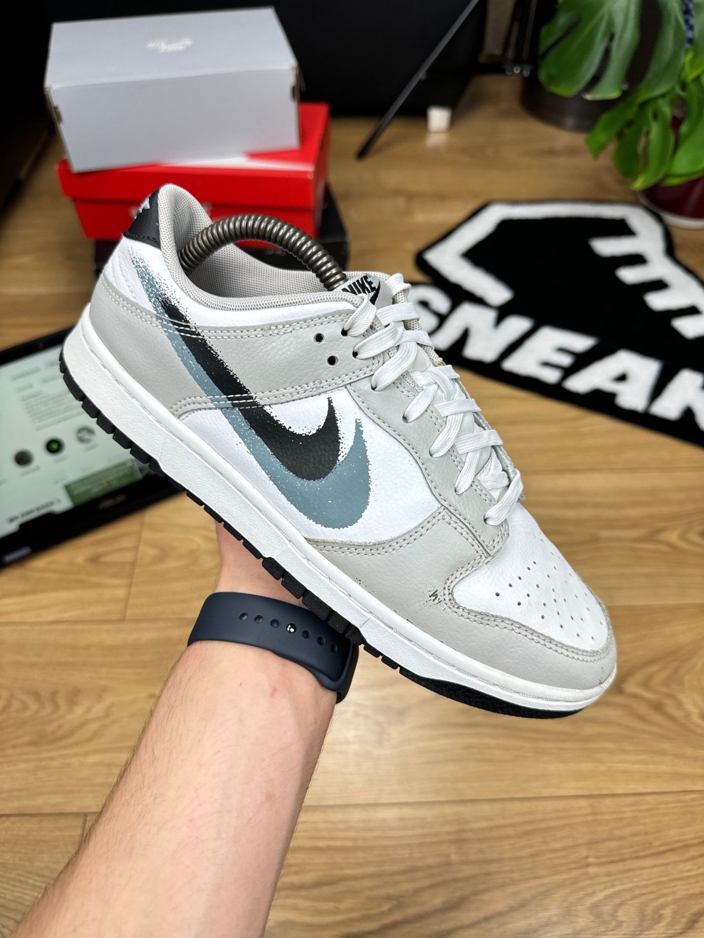 Nike Dunk Low (42)