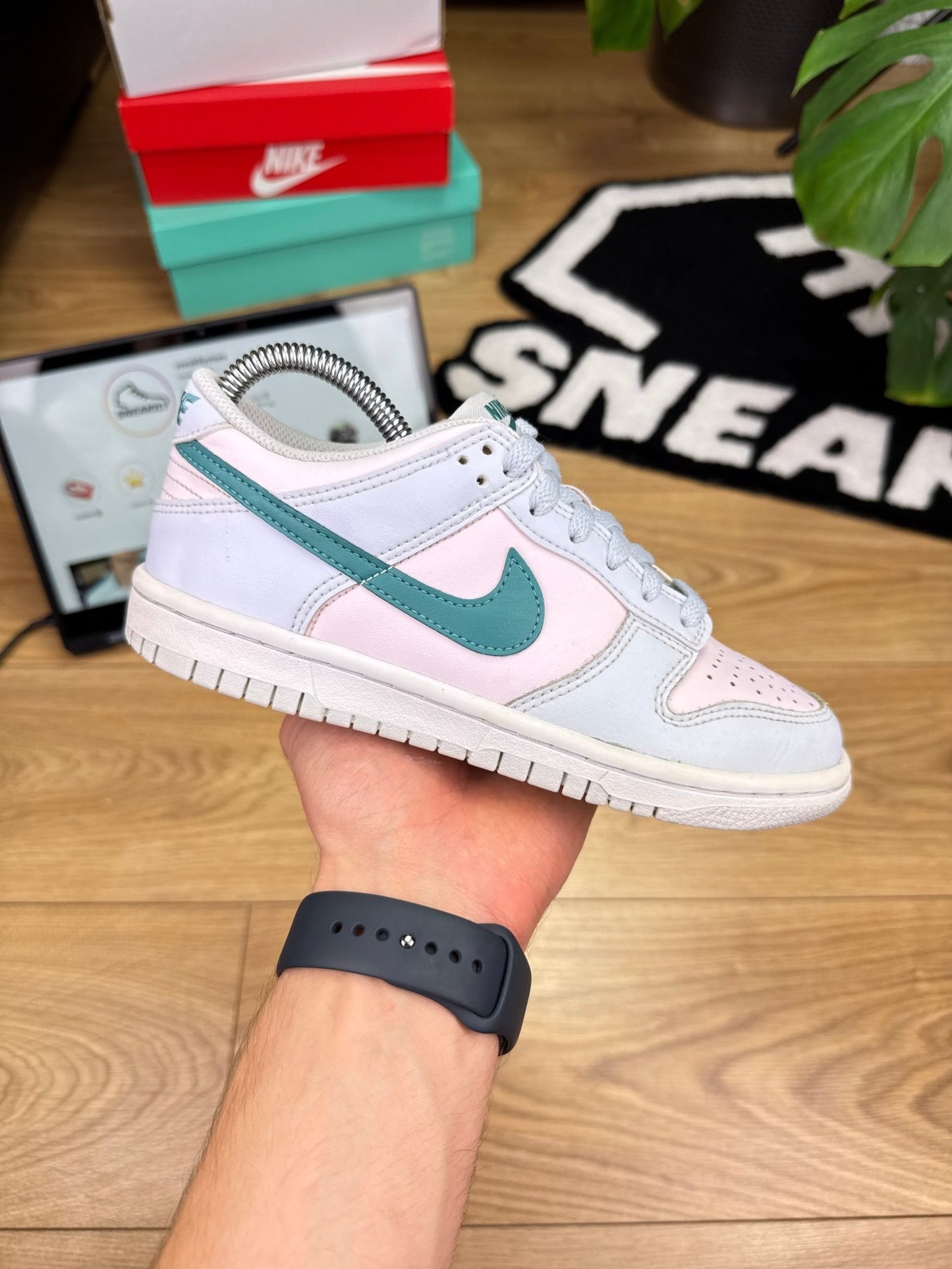 Nike Dunk Low (36)