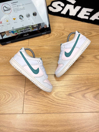 Nike Dunk Low (36)