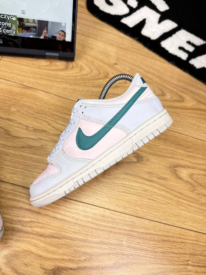 Nike Dunk Low (36)