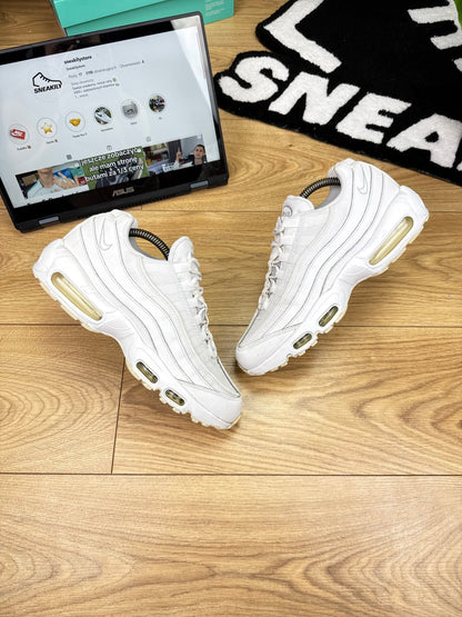 Nike Air Max 95 (43)