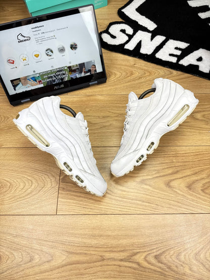 Nike Air Max 95 (43)