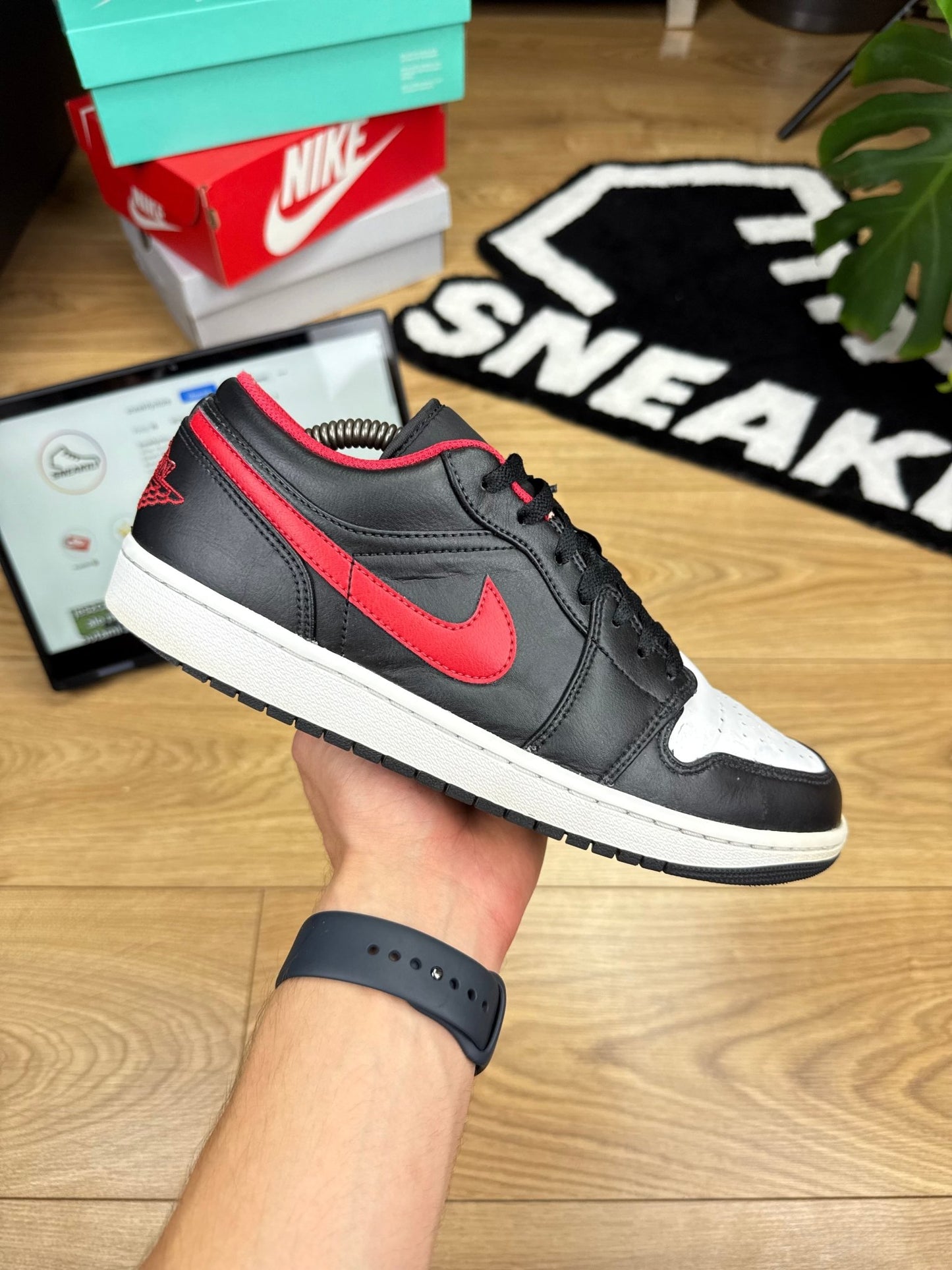 Nike Air Jordan 1 Low (44)