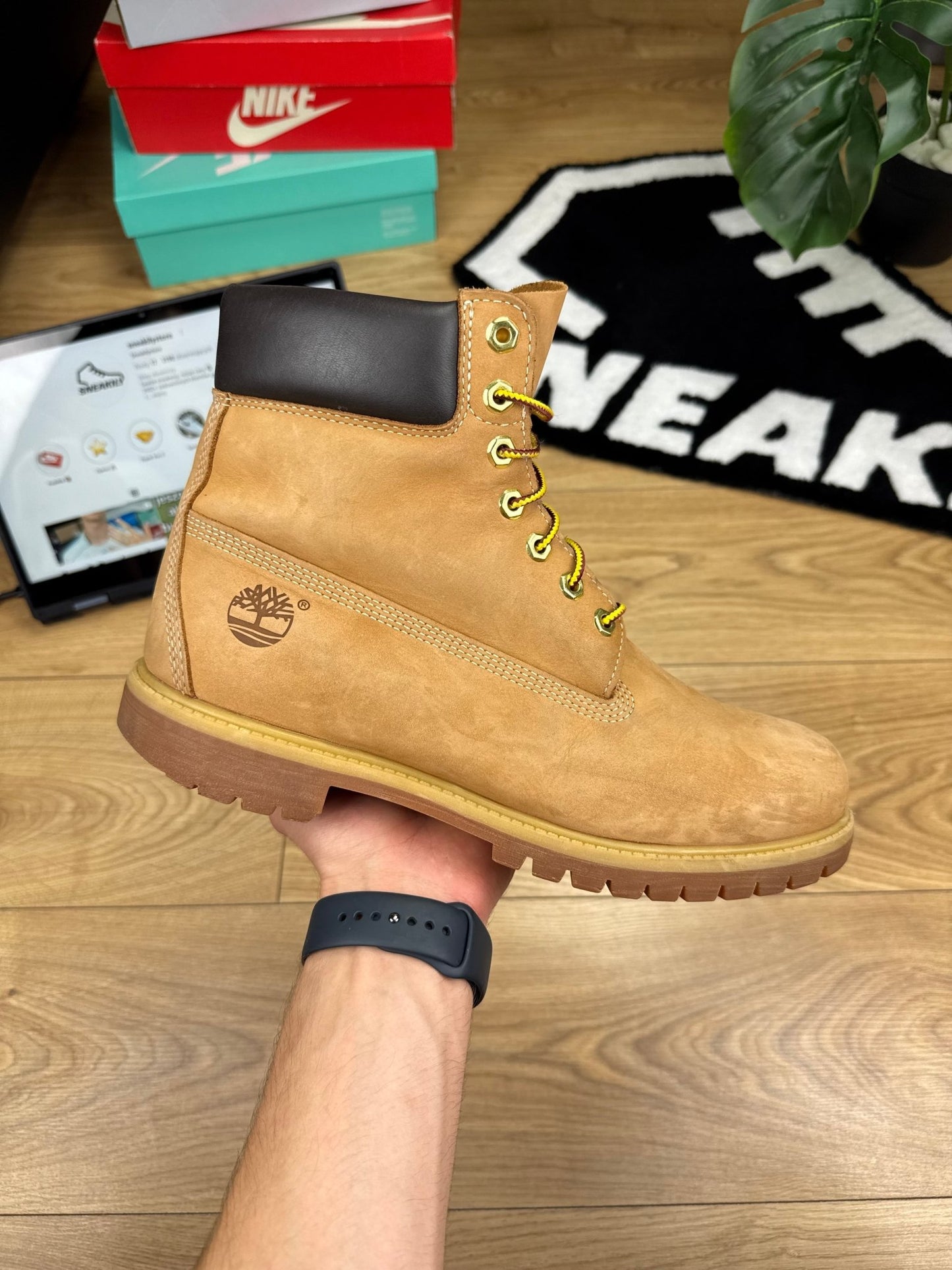 Timberland Premium 6 Inch (45)